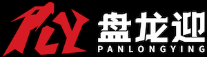 上海盘龙迎信息技术有限公司